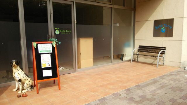 通所支援ベルテール 八王子南大沢園