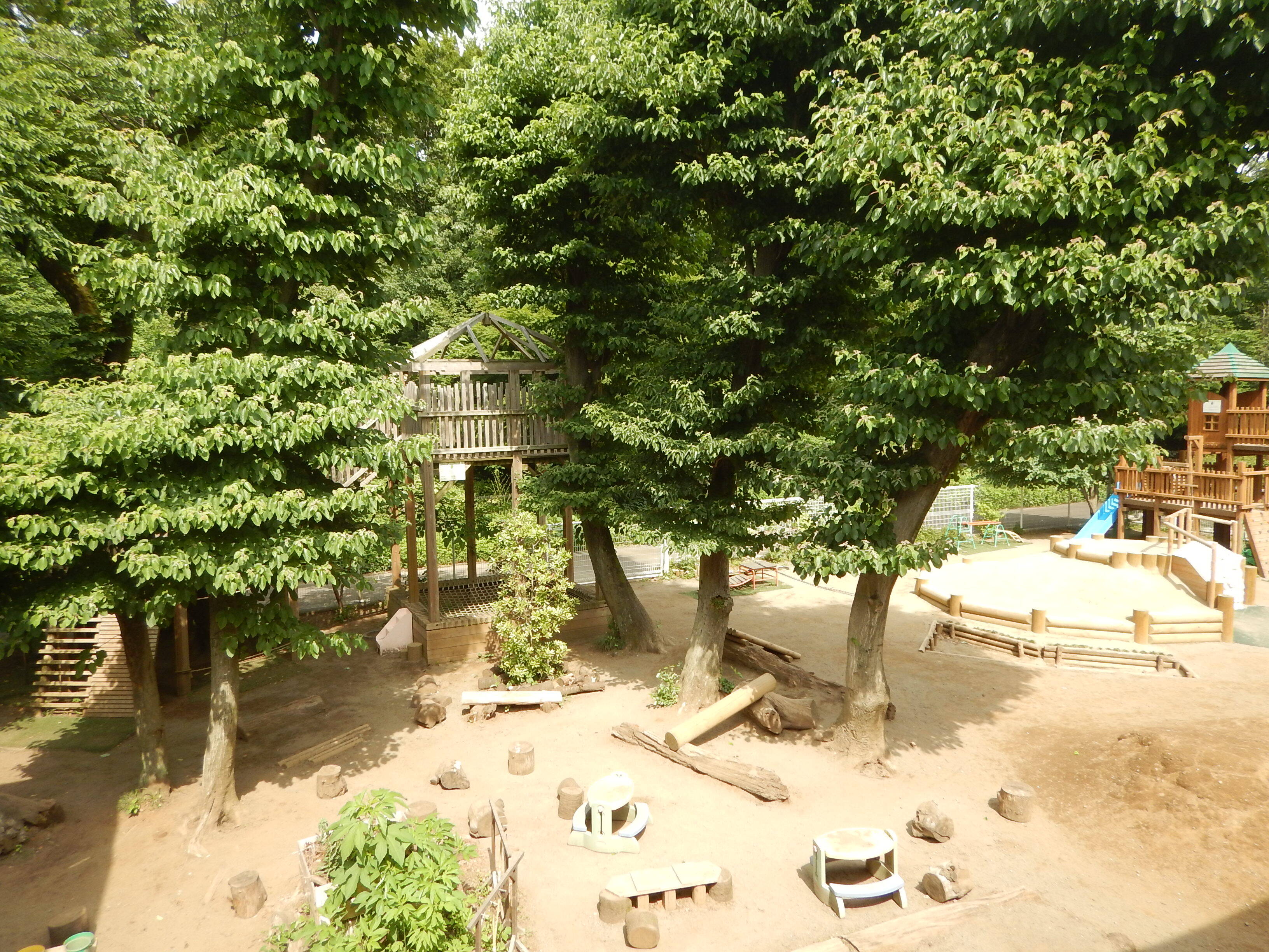 イコロ昭和の森