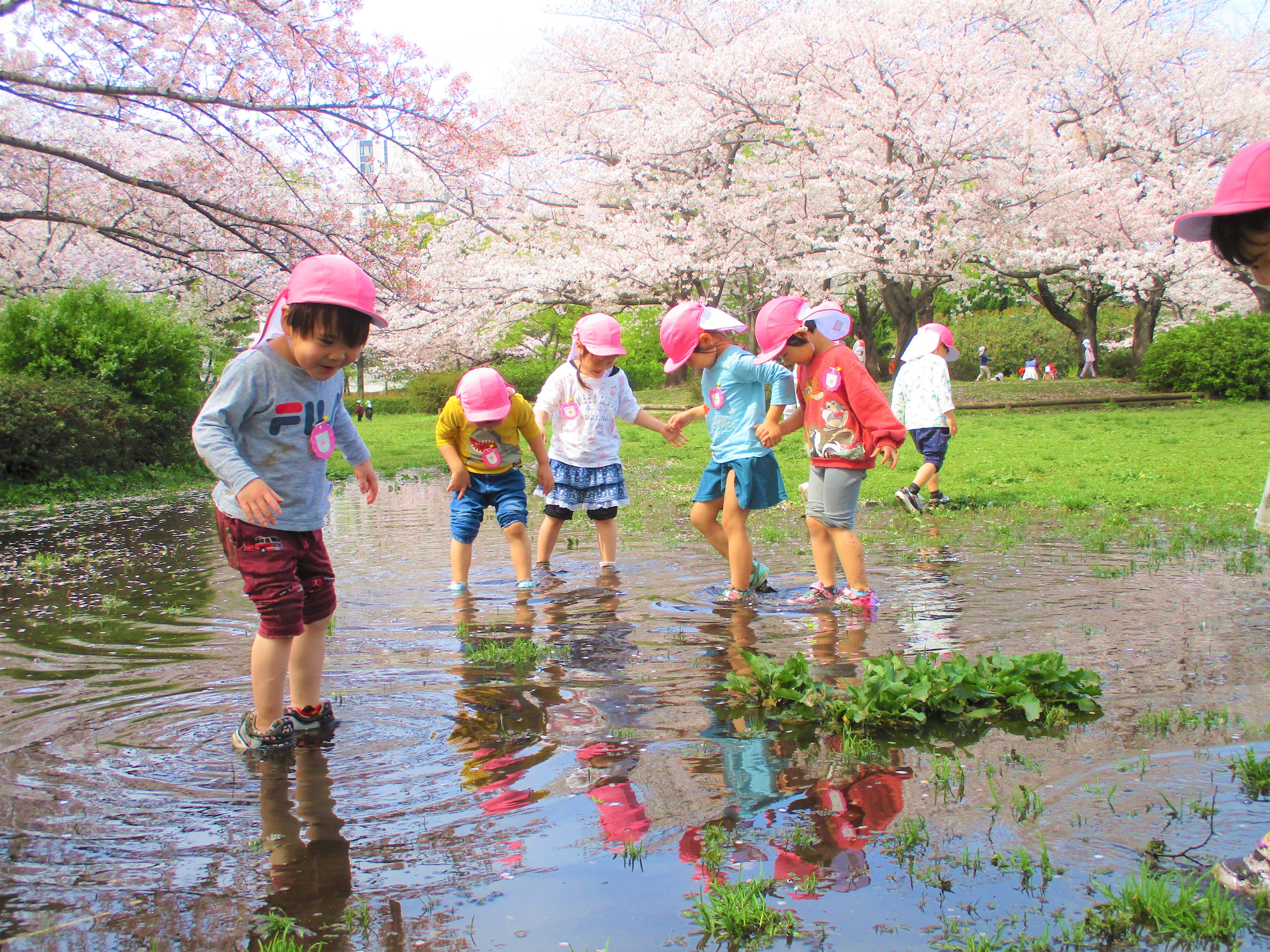 菊川保育園