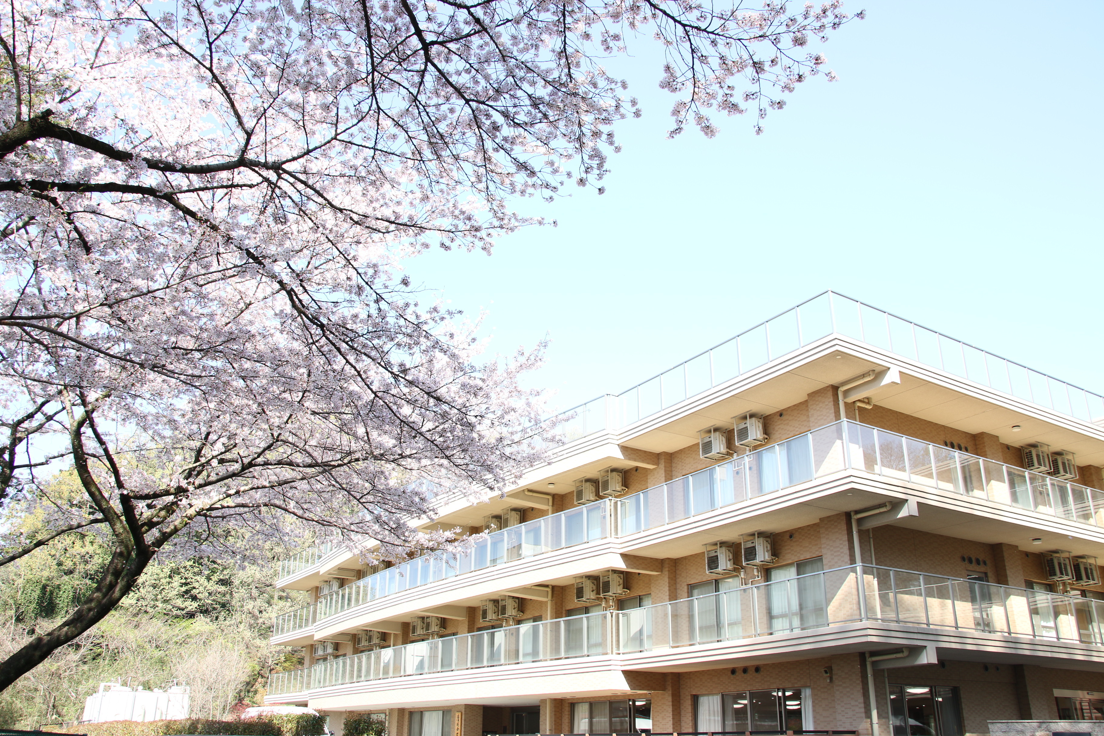 特別養護老人ホーム長舟園